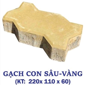 Gạch con sân vàng