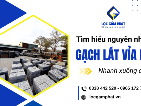Vì sao gạch lát vỉa hè nhanh xuống cấp? 5 nguyên nhân phổ biến gây ra