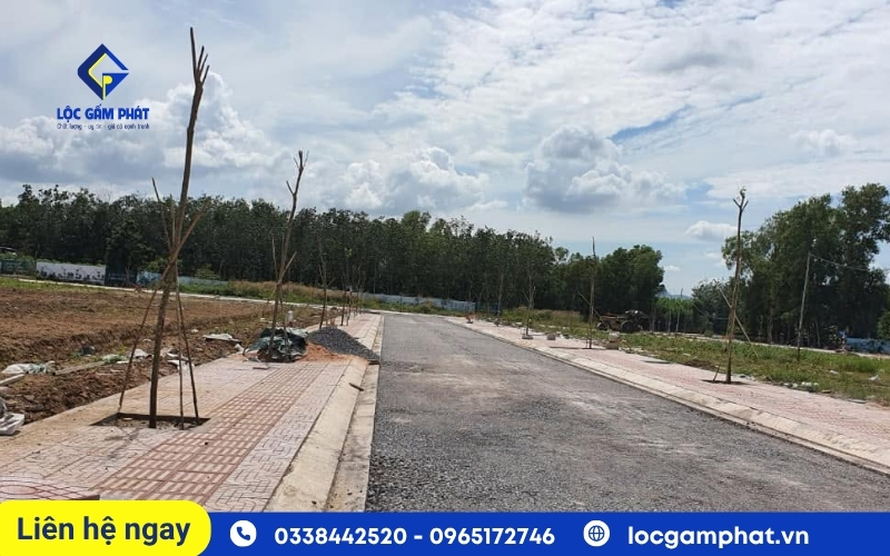 cung cấp gạch vỉa hè khu vực Bình Dương 