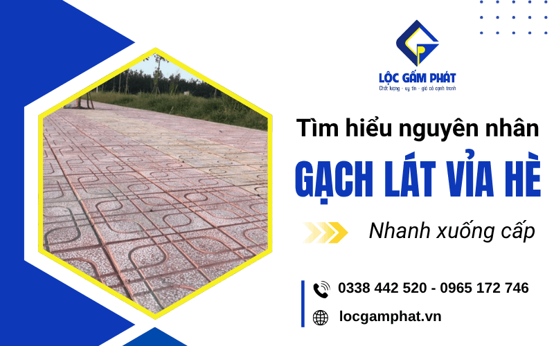 gạch lát vỉa hè