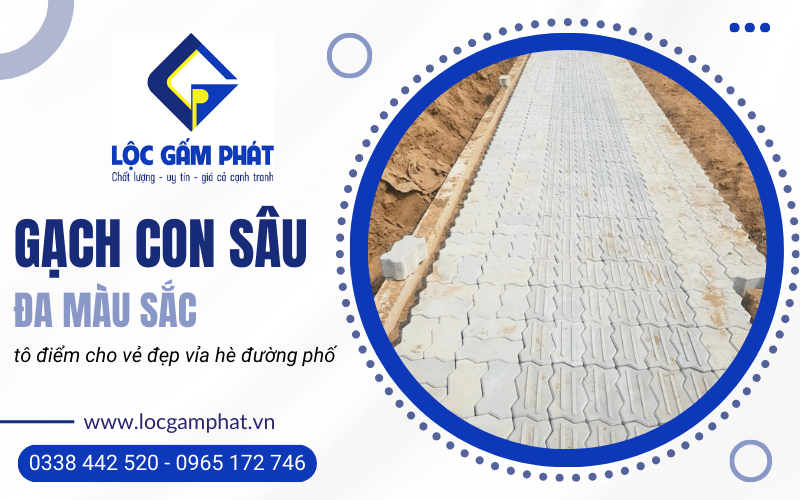 Gạch con sâu đa màu sắc