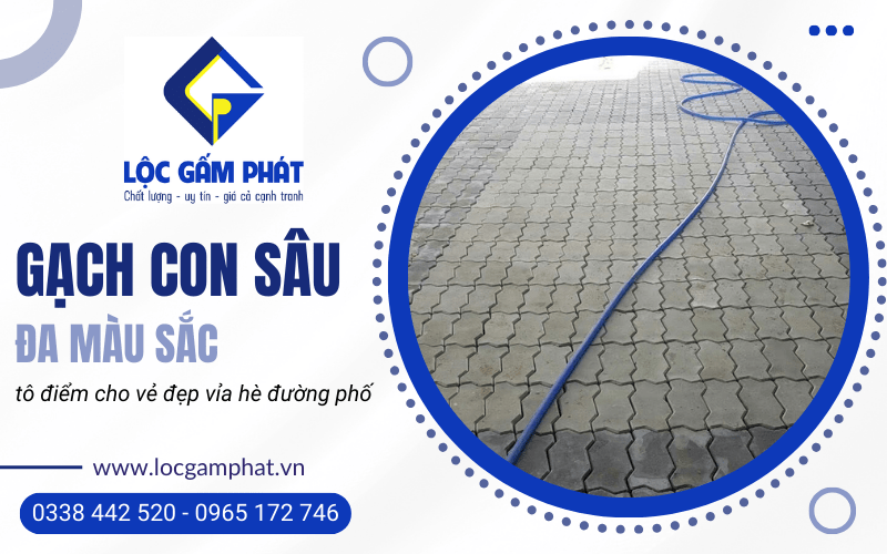 Gạch con sâu đa màu sắc