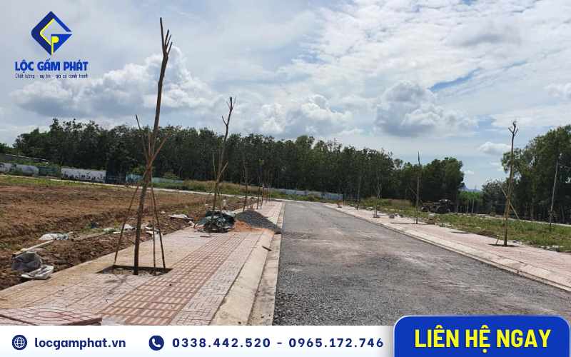 Lộc Gấm Phát chia sẻ xu hướng gạch lát vỉa hè được sử dụng nhiều trong các khu đô thị mới